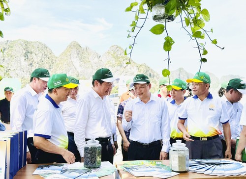 Tinh thần “sống xanh” lan tỏa mạnh mẽ khắp Việt Nam  - ảnh 5