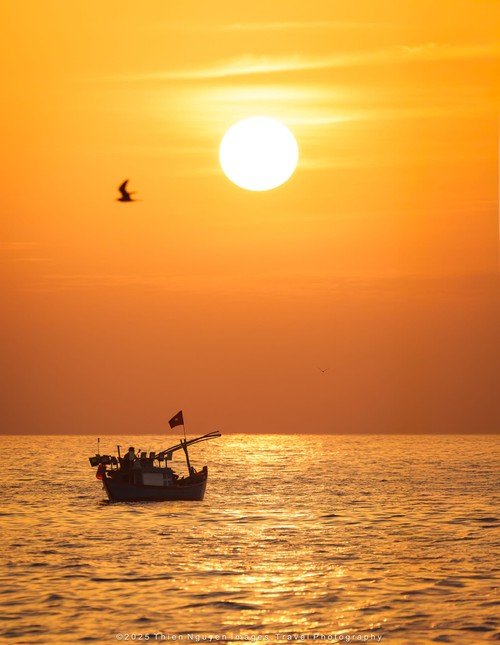 Bộ ảnh “Hành trình theo dấu cá voi Bryde ở Nhơn Lý” thắng lớn tại Giải thưởng Nhiếp ảnh Heritage 2025 - ảnh 15