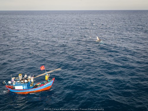Bộ ảnh “Hành trình theo dấu cá voi Bryde ở Nhơn Lý” thắng lớn tại Giải thưởng Nhiếp ảnh Heritage 2025 - ảnh 24