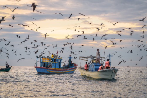 Bộ ảnh “Hành trình theo dấu cá voi Bryde ở Nhơn Lý” thắng lớn tại Giải thưởng Nhiếp ảnh Heritage 2025 - ảnh 3