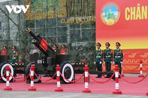 21 phát đại bác mở màn chào mừng buổi tổng duyệt A80 - ảnh 2