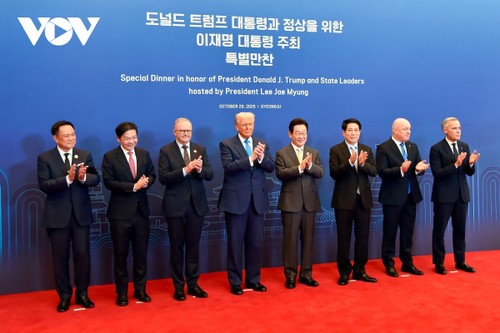 Toàn cảnh chuyến công tác dự Tuần lễ cấp cao APEC của Chủ tịch nước Lương Cường - ảnh 3