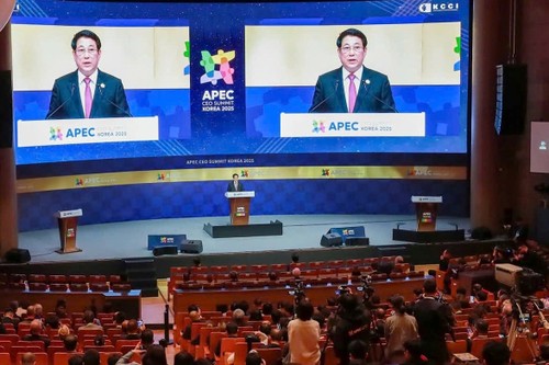 Toàn cảnh chuyến công tác dự Tuần lễ cấp cao APEC của Chủ tịch nước Lương Cường - ảnh 7