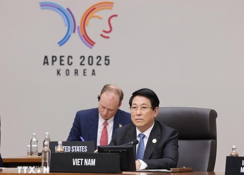 Toàn cảnh chuyến công tác dự Tuần lễ cấp cao APEC của Chủ tịch nước Lương Cường - ảnh 8