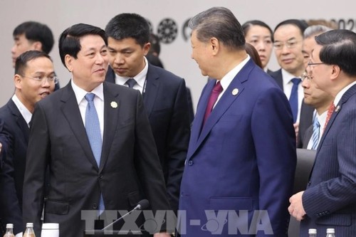 Toàn cảnh chuyến công tác dự Tuần lễ cấp cao APEC của Chủ tịch nước Lương Cường - ảnh 9