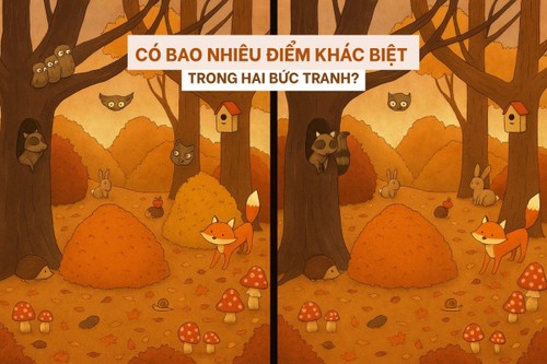 Câu đố dành cho người thuộc top tinh mắt nhất - ảnh 1