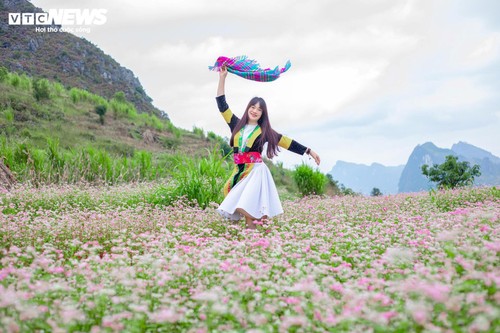 Mùa hoa tam giác mạch nở rộ, thiếu nữ rủ nhau lên Đồng Văn săn ảnh đẹp - ảnh 9