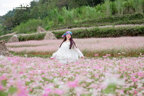 Mùa hoa tam giác mạch nở rộ, thiếu nữ rủ nhau lên Đồng Văn săn ảnh đẹp - ảnh 4