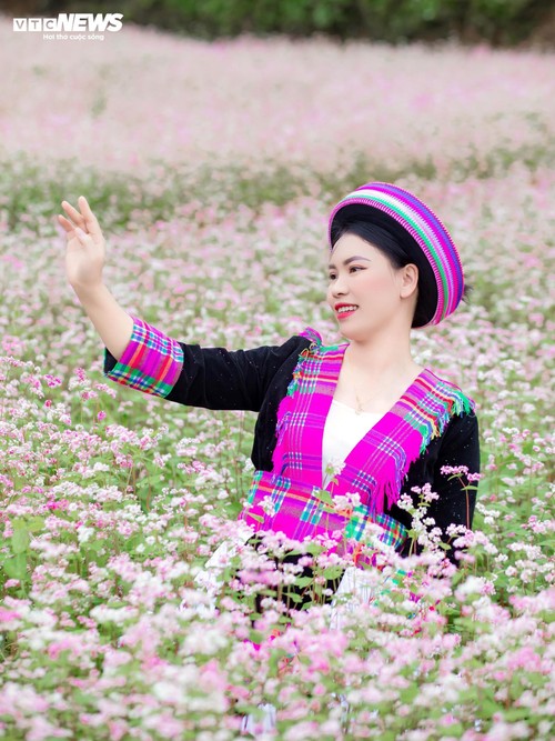 Mùa hoa tam giác mạch nở rộ, thiếu nữ rủ nhau lên Đồng Văn săn ảnh đẹp - ảnh 5