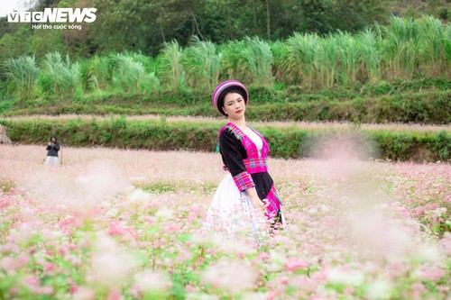 Mùa hoa tam giác mạch nở rộ, thiếu nữ rủ nhau lên Đồng Văn săn ảnh đẹp - ảnh 8