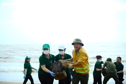 Du khách nước ngoài cùng người dân dọn rác trên biển Nha Trang sau lũ lịch sử - ảnh 11