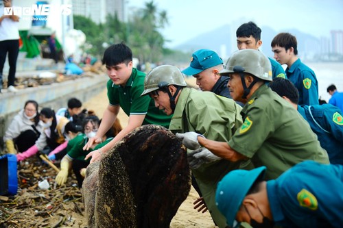 Du khách nước ngoài cùng người dân dọn rác trên biển Nha Trang sau lũ lịch sử - ảnh 16
