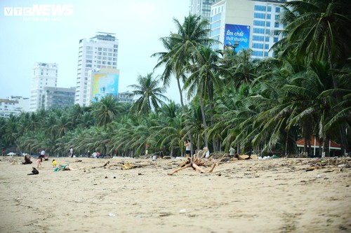 Du khách nước ngoài cùng người dân dọn rác trên biển Nha Trang sau lũ lịch sử - ảnh 6