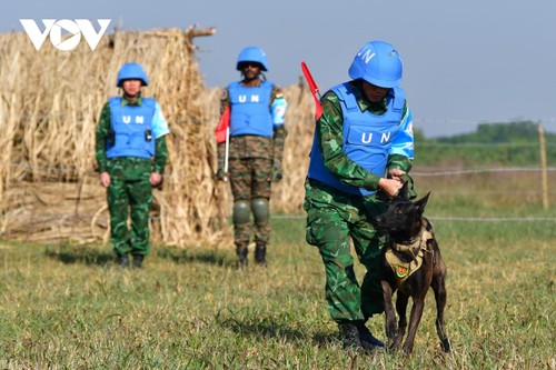 Trực thăng, chó nghiệp vụ tham gia diễn tập song phương Việt Nam - Ấn Độ - ảnh 4