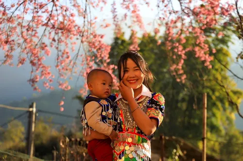 Mùa hoa anh đào bung nở nơi miền biên viễn Nghệ An - ảnh 8