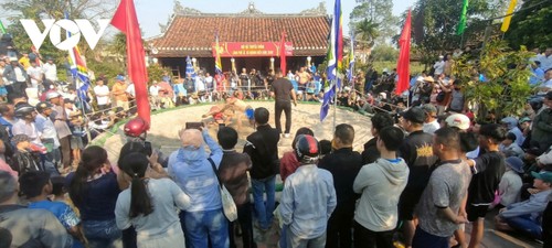 Tưng bừng khai hội vật làng Thủ Lễ đầu Xuân tại Huế - ảnh 1