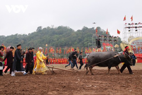 Các sự kiện văn hoá nổi bật trong tuần qua ảnh - ảnh 7