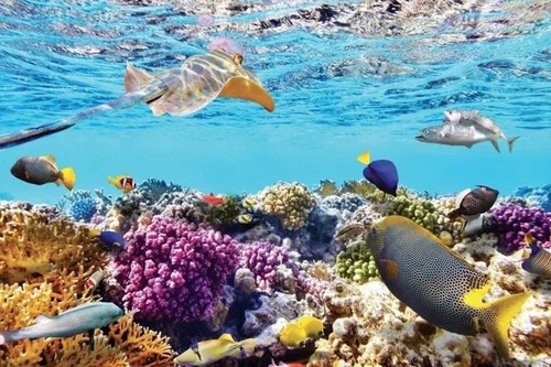 Việt Nam – top điểm đến đẹp nhất thế giới - ảnh 8