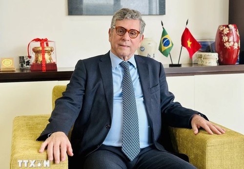 Việt Nam và Brazil còn nhiều tiềm năng hợp tác - ảnh 1