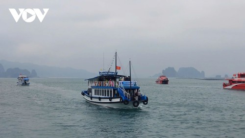 Quảng Ninh khai thác tiềm năng du lịch vịnh Bái Tử Long - ảnh 2