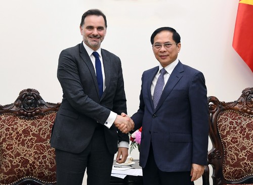 Việt Nam coi trọng và mong muốn làm sâu sắc hơn nữa quan hệ hữu nghị, hợp tác nhiều mặt với Pháp - ảnh 1