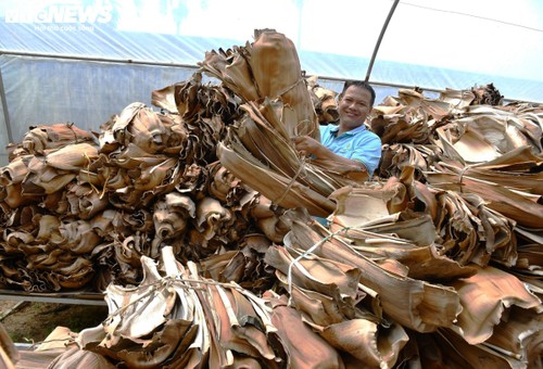 Sản xuất bát đĩa từ mo cau ở Quảng Ngãi - ảnh 1
