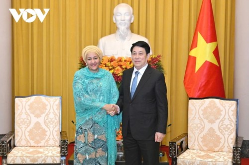 Việt Nam là thành viên tích cực, có trách nhiệm của cộng đồng quốc tế - ảnh 1