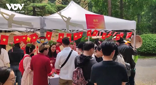 Đưa văn hóa Việt đến gần hơn với bạn bè quốc tế - ảnh 2