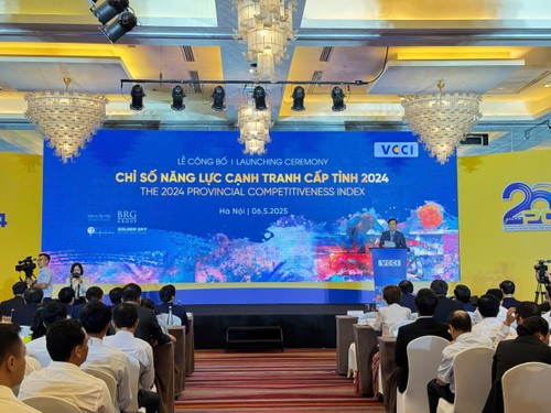 Công bố PCI 2024: Hải Phòng vươn lên vị trí số 1, môi trường kinh doanh tiếp tục cải thiện - ảnh 3