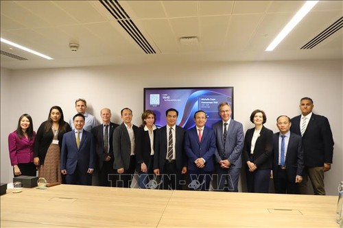 Thúc đẩy hợp tác y khoa Việt Nam - Vương quốc Anh - ảnh 1