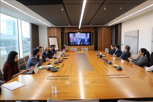 Thúc đẩy hợp tác y khoa Việt Nam - Vương quốc Anh - ảnh 2