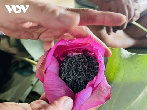 Hà Nội vương vấn hương sen - ảnh 2