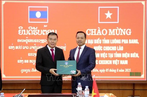 Điện Biên chia sẻ kinh nghiệm vận hành chính quyền cấp xã với tỉnh Louangphabang (Lào) - ảnh 1