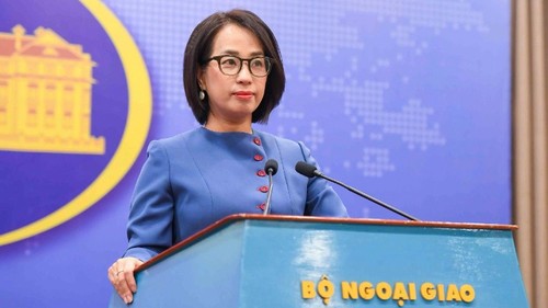 Việt Nam hết sức quan ngại về vụ việc xảy ra trong lãnh hải của đảo Thị Tứ (Trường Sa) - ảnh 1