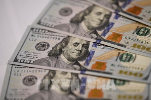 TP. Hồ Chí Minh thu hút gần 8 tỷ USD kiều hối - ảnh 1