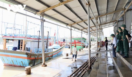 Thông tin biển đảo ngày 27/12 - ảnh 6