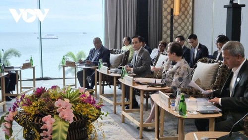 Bộ trưởng Ngoại giao Lê Hoài Trung tham dự Hội nghị hẹp Bộ trưởng Ngoại giao ASEAN - ảnh 2
