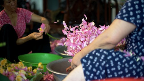 Ho Tay lotus tea scenting – quintessence of Hanoi - ảnh 22