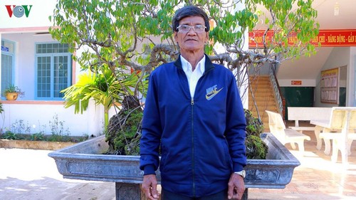 Central Highlands hamlet chief creates successful business model - ảnh 1