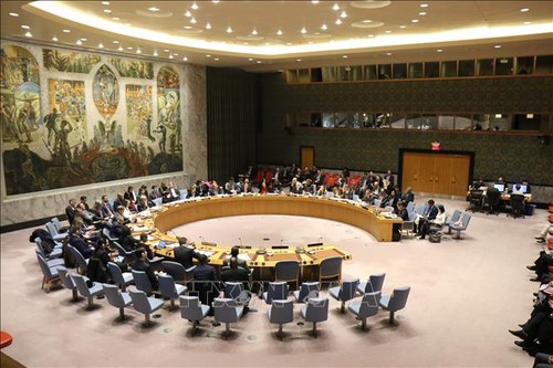 UNSC discusses UN-ASEAN cooperation  - ảnh 1