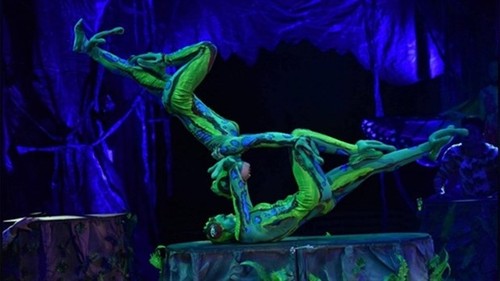 Circus, traditional arts to be combined on stage for first time - ảnh 1