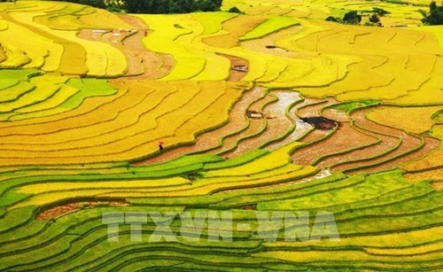 Vietnam nominated in 10 categories at World Travel Awards 2022  - ảnh 1