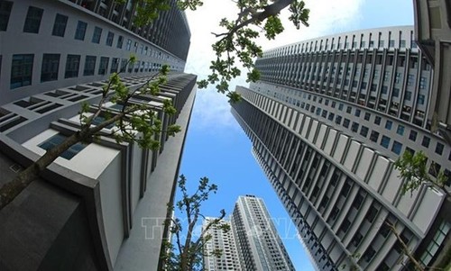 Nationwide urbanisation rate reaches 41 percent - ảnh 1