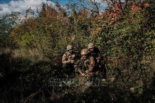 Russia, ICRC President discuss cooperation in Ukraine - ảnh 1