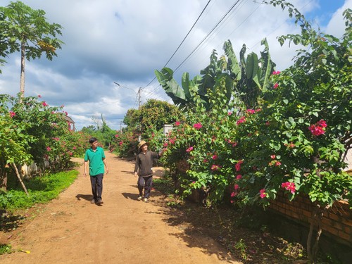 Dak Lak village chief serves as role model in local movements  - ảnh 1