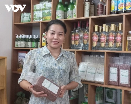 Hai Phong female farmer turns barren land into fertile paddy fields - ảnh 1