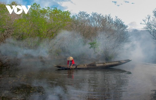 Fall foliage in Ru Cha mangrove forest - ảnh 3