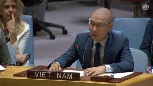 Vietnam urges collaboration to ensure safe future for children worldwide - ảnh 1