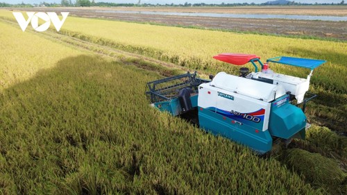 One million hectare high-quality, low-emission rice production model reviewed  - ảnh 1