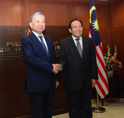 Party leader meets with Malaysian Senate President in Kuala Lumpur - ảnh 1